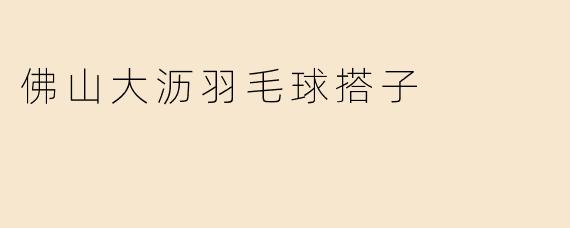 佛山大沥羽毛球搭子