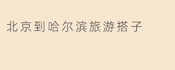 北京到哈尔滨旅游搭子