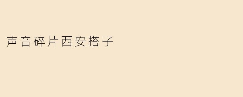声音碎片西安搭子