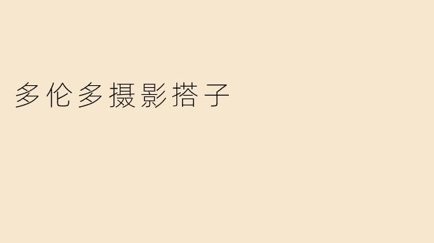 多伦多摄影搭子