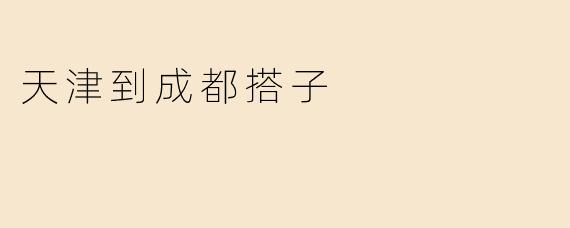 天津到成都搭子