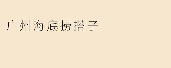 广州海底捞搭子