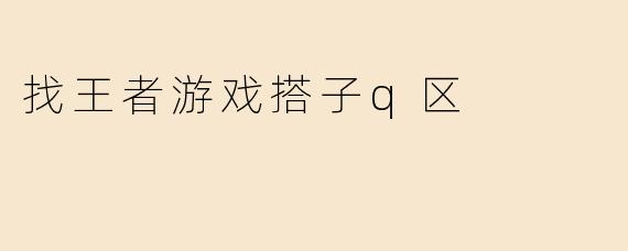 找王者游戏搭子q区