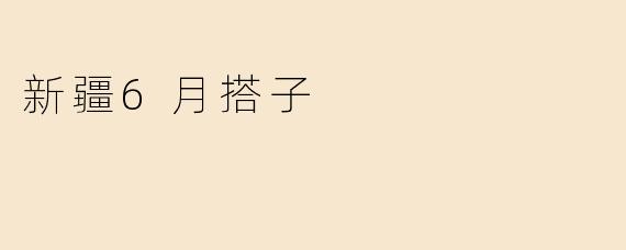 新疆6月搭子