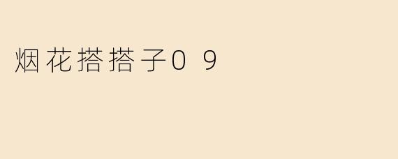烟花搭搭子09