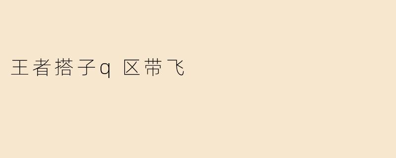 王者搭子q区带飞
