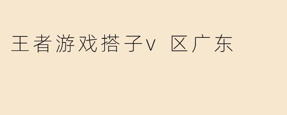 王者游戏搭子v区广东