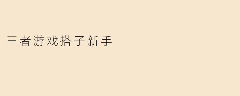 王者游戏搭子新手