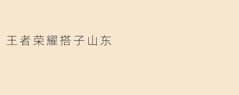 王者荣耀搭子山东