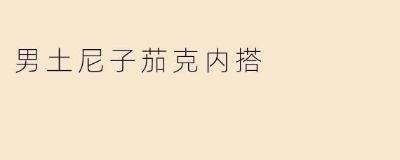 男土尼子茄克内搭