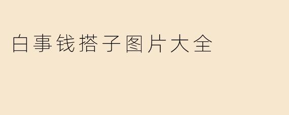 白事钱搭子图片大全