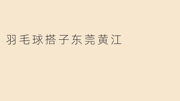 羽毛球搭子东莞黄江