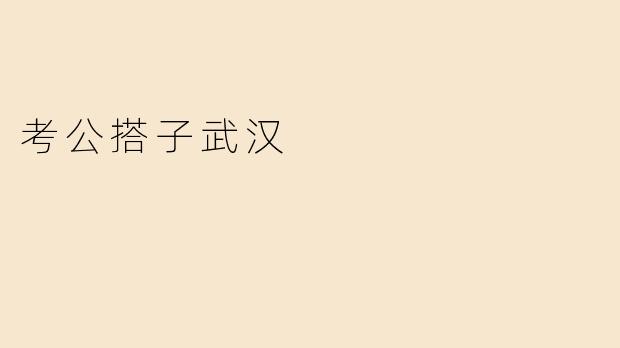 考公搭子武汉