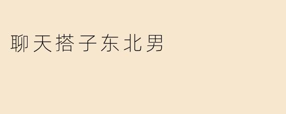 聊天搭子东北男