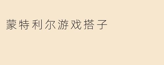 蒙特利尔游戏搭子