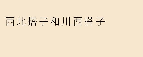 西北搭子和川西搭子