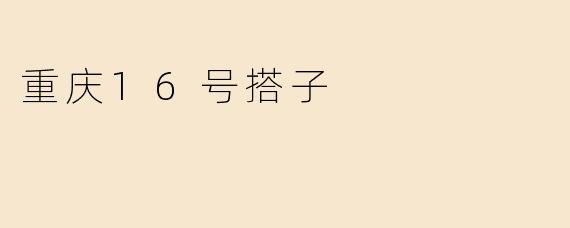 重庆16号搭子