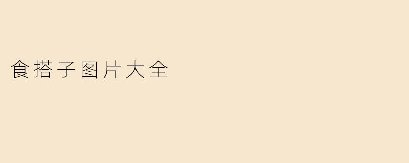 食搭子图片大全