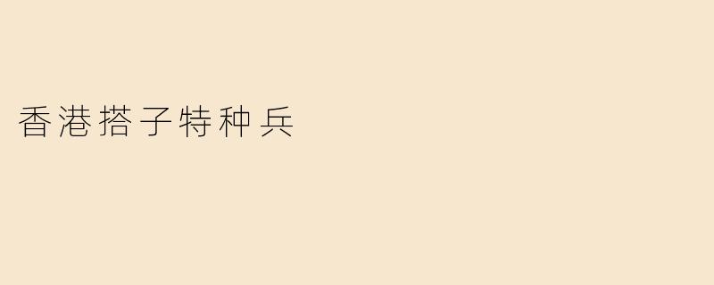 香港搭子特种兵