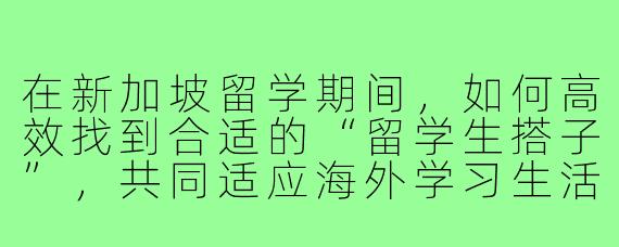 在新加坡留学期间，如何高效找到合适的“留学生搭子”，共同适应海外学习生活？