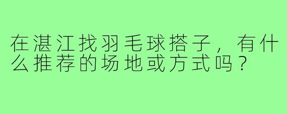 在湛江找羽毛球搭子，有什么推荐的场地或方式吗？
