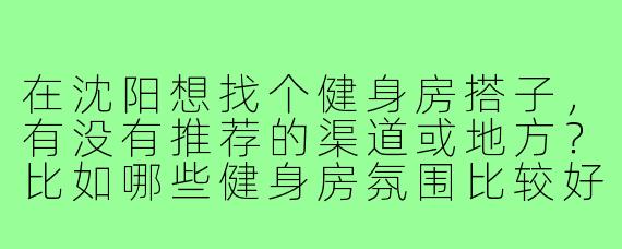 在沈阳想找个健身房搭子，有没有推荐的渠道或地方？比如哪些健身房氛围比较好，或者有什么本地平台可以结伴锻炼？