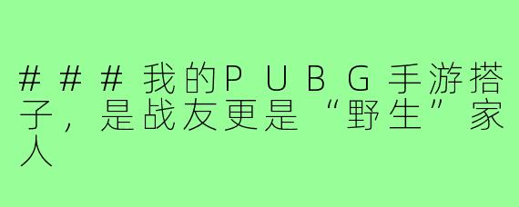 ###我的PUBG手游搭子，是战友更是“野生”家人