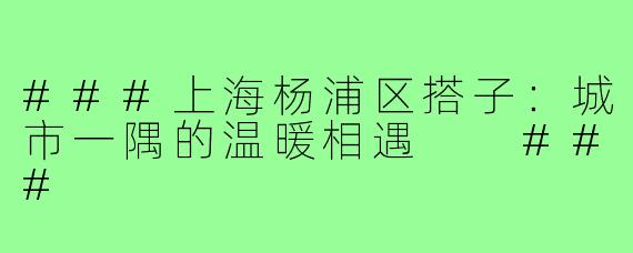 ###上海杨浦区搭子：城市一隅的温暖相遇

###
