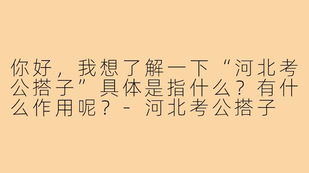 你好，我想了解一下“河北考公搭子”具体是指什么？有什么作用呢？-河北考公搭子