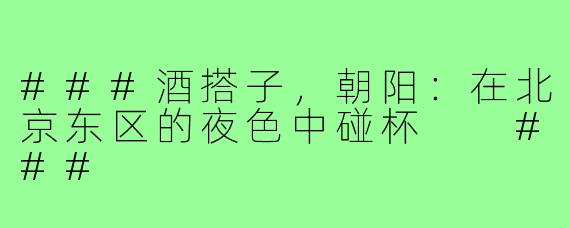 ###酒搭子，朝阳：在北京东区的夜色中碰杯

###