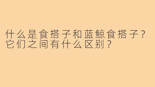 什么是食搭子和蓝鲸食搭子?它们之间有什么区别?
