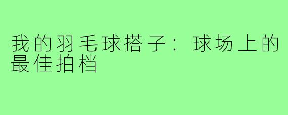 我的羽毛球搭子：球场上的最佳拍档
