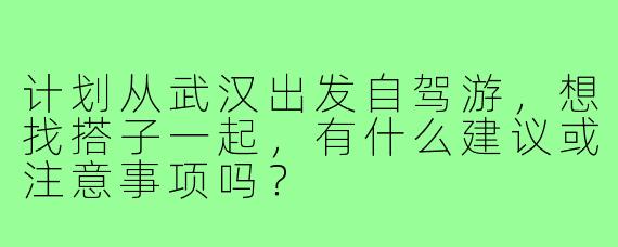 计划从武汉出发自驾游，想找搭子一起，有什么建议或注意事项吗？