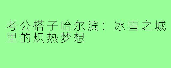 考公搭子哈尔滨：冰雪之城里的炽热梦想