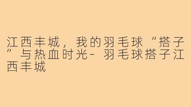 江西丰城，我的羽毛球“搭子”与热血时光-羽毛球搭子江西丰城