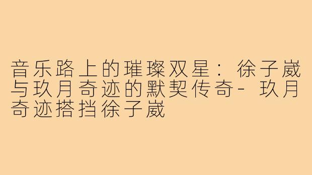 音乐路上的璀璨双星：徐子崴与玖月奇迹的默契传奇-玖月奇迹搭挡徐子崴
