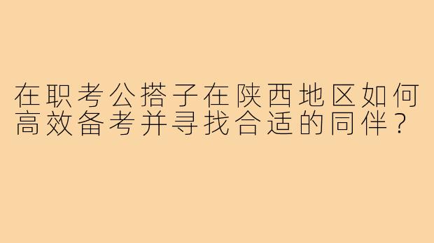 在职考公搭子在陕西地区如何高效备考并寻找合适的同伴?