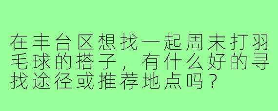 在丰台区想找一起周末打羽毛球的搭子,有什么好的寻找途径或推荐地点吗?