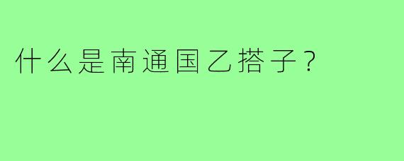 什么是南通国乙搭子？