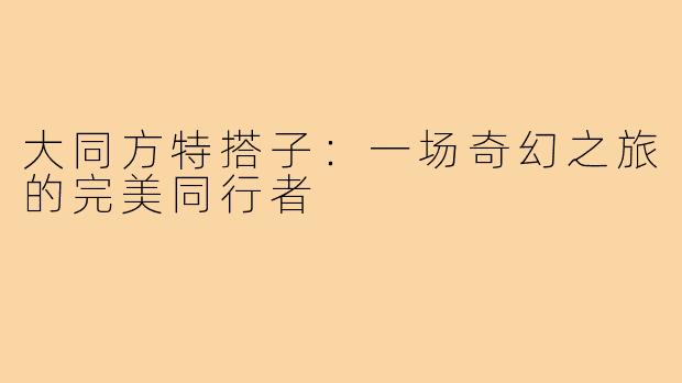 大同方特搭子：一场奇幻之旅的完美同行者