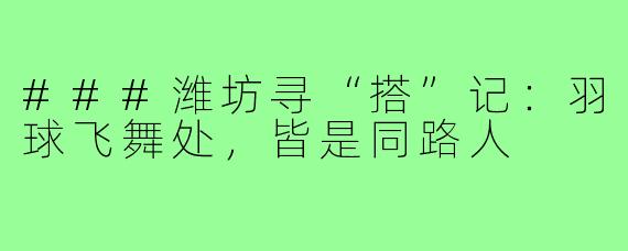 ###潍坊寻“搭”记：羽球飞舞处，皆是同路人