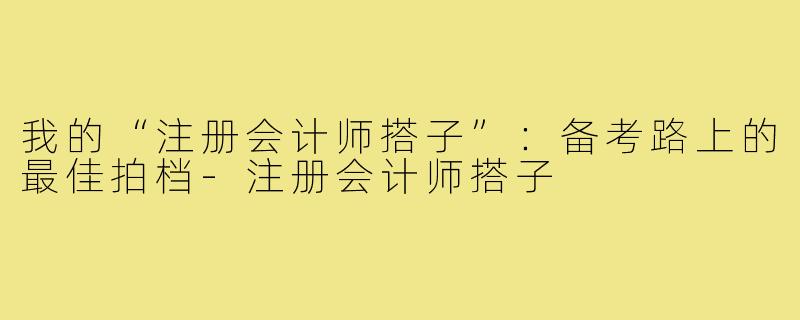 我的“注册会计师搭子”：备考路上的最佳拍档-注册会计师搭子