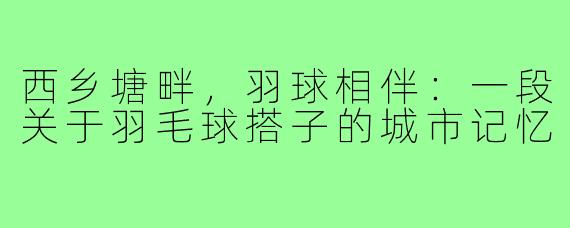 西乡塘畔，羽球相伴：一段关于羽毛球搭子的城市记忆