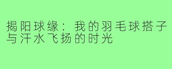 揭阳球缘：我的羽毛球搭子与汗水飞扬的时光