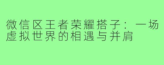 微信区王者荣耀搭子：一场虚拟世界的相遇与并肩