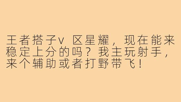 王者搭子v区星耀，现在能来稳定上分的吗？我主玩射手，来个辅助或者打野带飞！