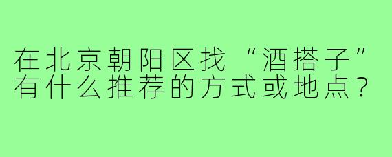 在北京朝阳区找“酒搭子”有什么推荐的方式或地点？