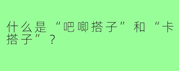 什么是“吧唧搭子”和“卡搭子”?