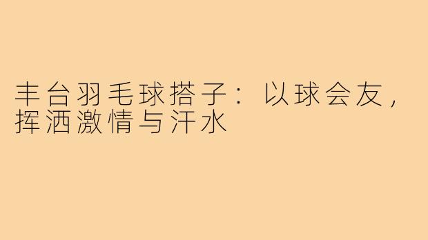 丰台羽毛球搭子：以球会友，挥洒激情与汗水