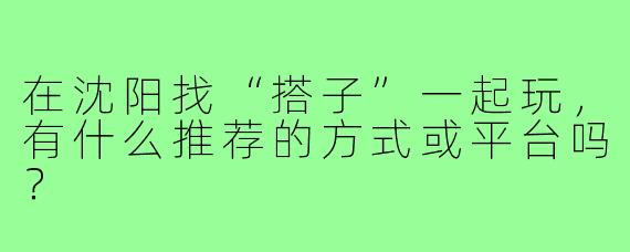在沈阳找“搭子”一起玩,有什么推荐的方式或平台吗?